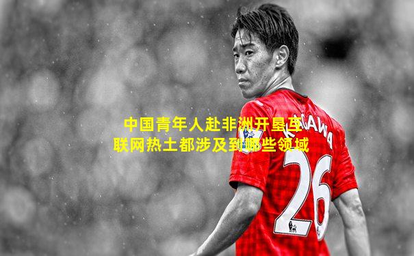 中国青年人赴非洲开垦互联网热土都涉及到哪些领域