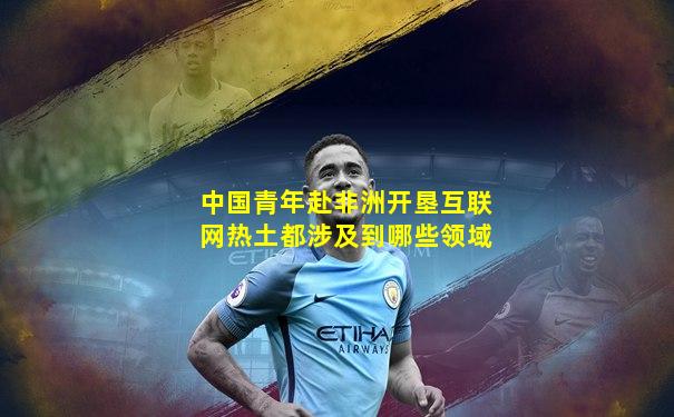 中国青年赴非洲开垦互联网热土都涉及到哪些领域