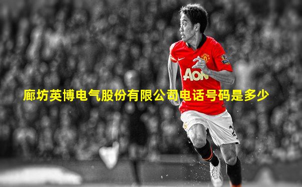 廊坊英博电气股份有限公司电话号码是多少