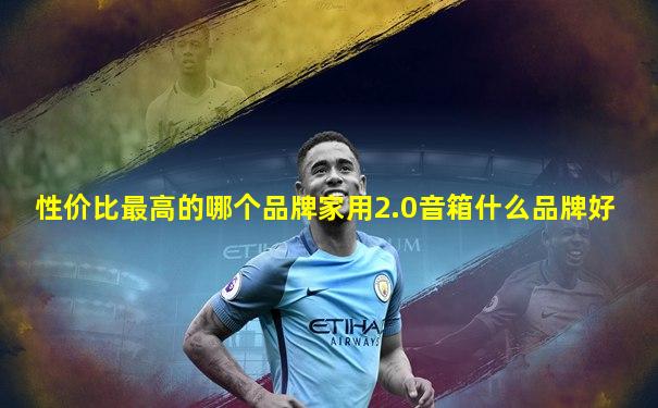 性价比最高的哪个品牌家用2.0音箱什么品牌好