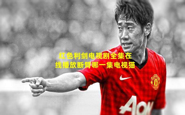 红色利剑电视剧全集在线播放断臂哪一集电视猫