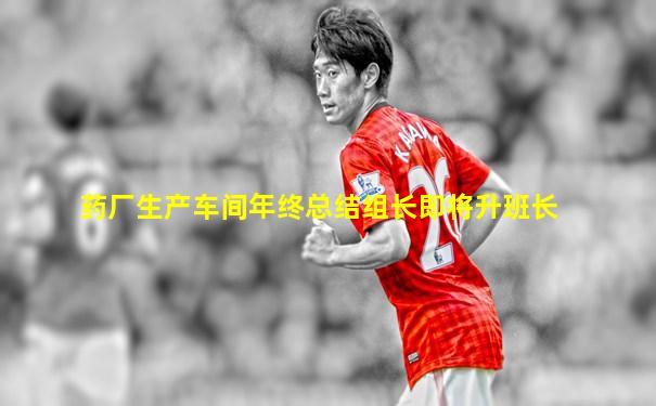 药厂生产车间年终总结组长即将升班长