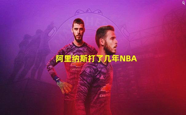 阿里纳斯打了几年NBA