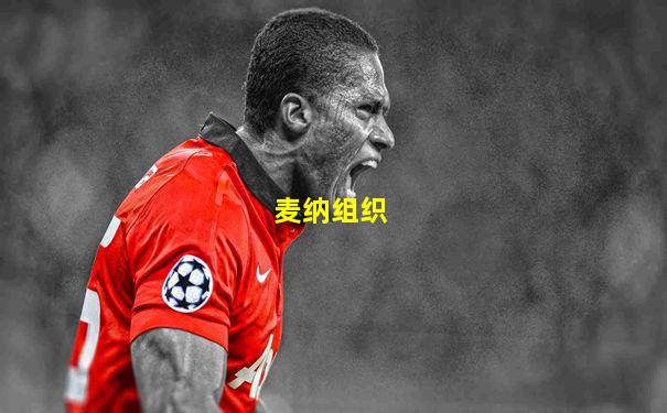 麦纳组织